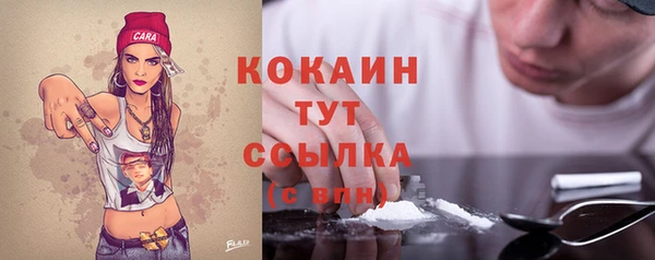 a pvp Каменногорск