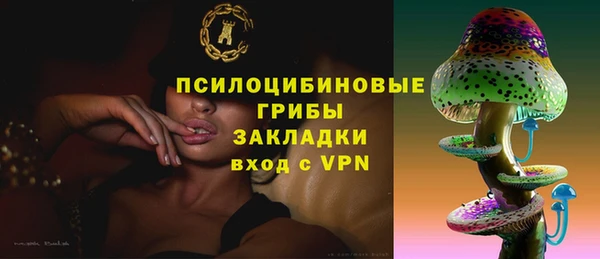 ECSTASY Каменск-Шахтинский