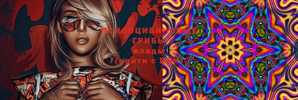 ECSTASY Каменск-Шахтинский