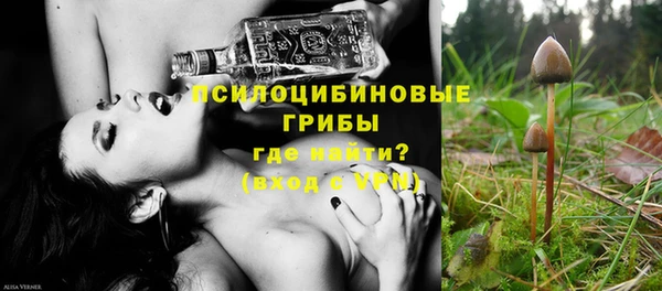 марки nbome Каменка
